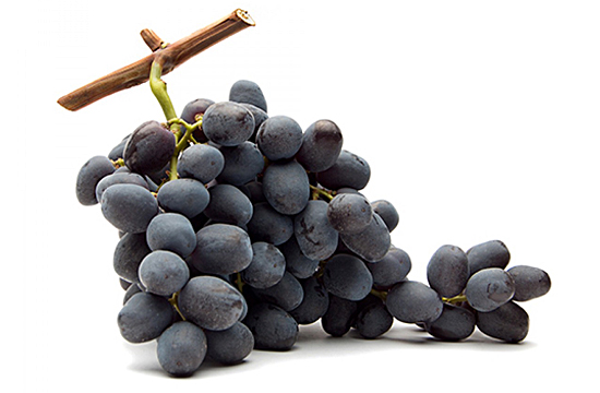 /“Palieri” grape