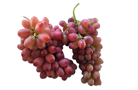/Seedless grape