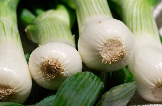 /Spring onion