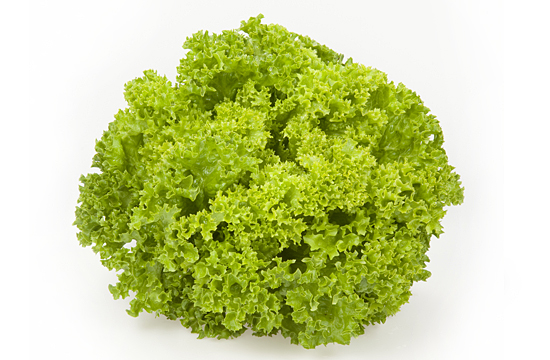 /Lollo salad (Lollo lettuce)