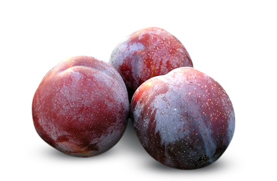 /Plum