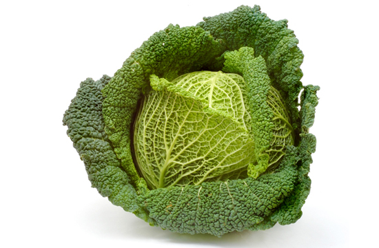 /Savoy cabbage